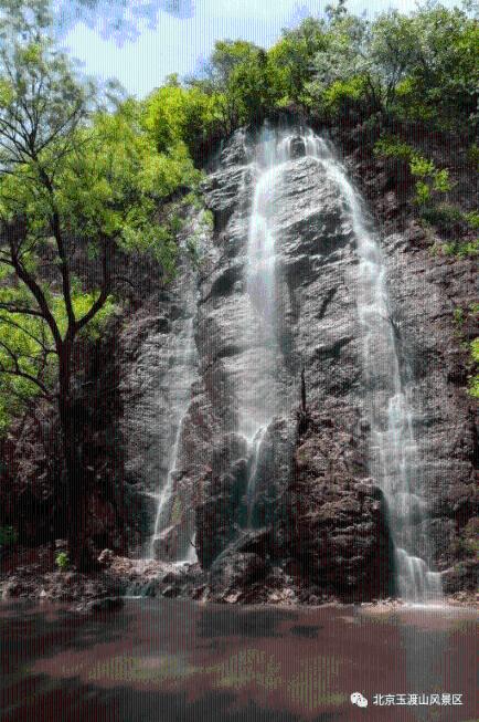 虫虫助手下载